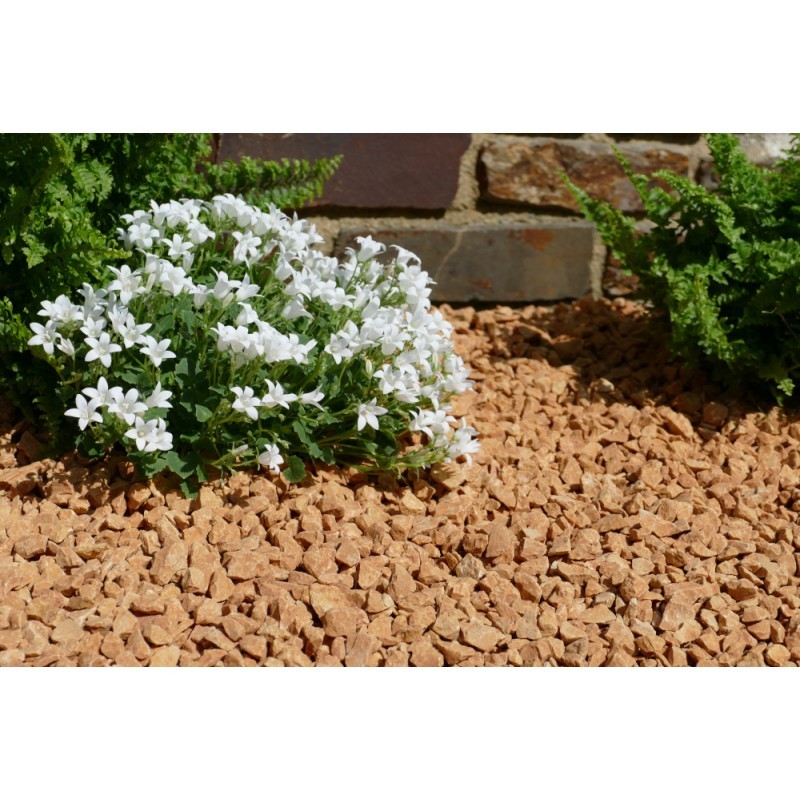 Gravier Jaune saumon