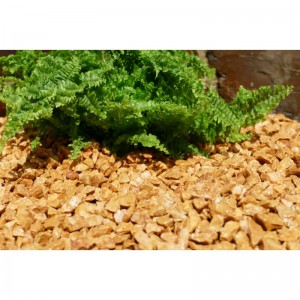 Gravier Jaune saumon