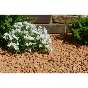 Gravier Jaune saumon