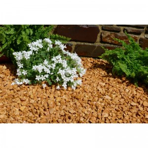 Gravier Jaune saumon