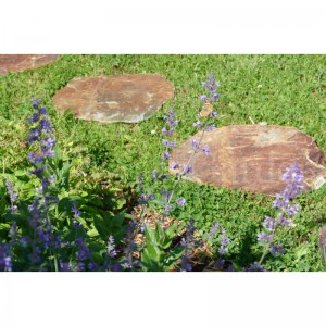 Pas Japonais Ardoise CORTEN Irrégulier