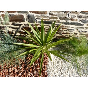 Kaliber Pure White Pebble 6-12 mm