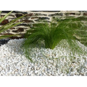 Kaliber Pure White Pebble 6-12 mm