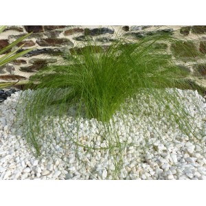 Bright White Pebble 6-12 bag 20 Kg