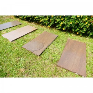 Pas Japonais GRES INDE MultiColor