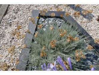 Bordure Schiste 1 Mètre