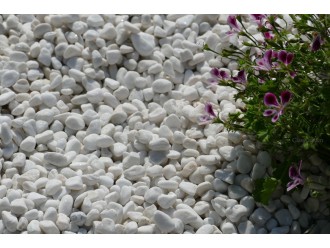 Galet_Blanc_Brillant