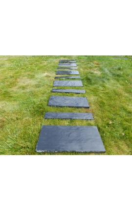 Dalle Pas Japonais Rectangulaire 50x25 - Pack de 12 pièces