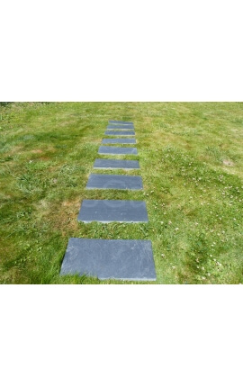 Rechthoekige Japanse Standplaats 50x25 - Pak van 10 stuks