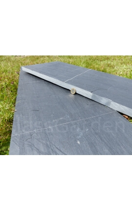 Dalle Rectangulaire 50x25