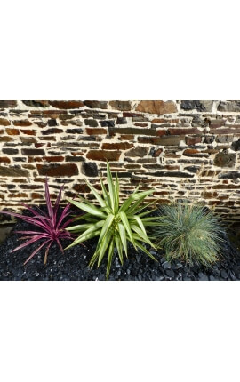 BLACK Slate Mulching - PACK für 7 m² Kaliber 6-24 mm