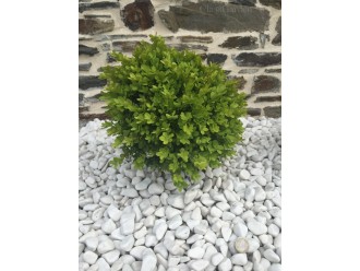 Pebble White Glossy 12-24 bag 20 Kg