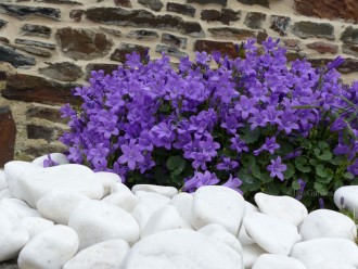 White Shiny Pebble 40-60 bag 20 Kg