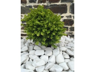 White Shiny Pebble 40-60 bag 20 Kg