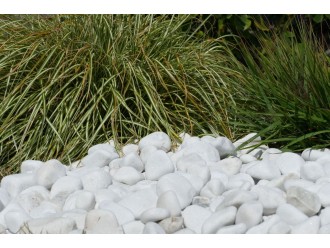 White Shiny Pebble 40-60 bag 20 Kg
