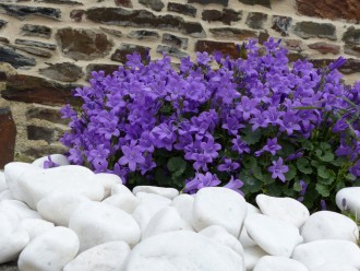 White Shiny Pebble 40-60 bag 20 Kg