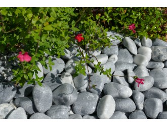 Light Grey Pebble 40-60 bag 20 Kg