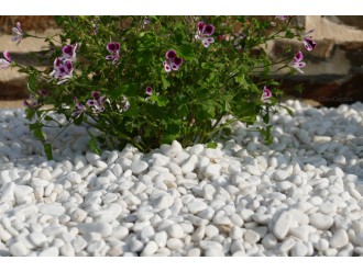 Bright White Pebble 6-12 BULK - Big-Bag - 1000 kg
