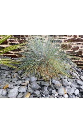 GRAU Schiefer Mulchkaliber 30-60 mm