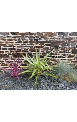 Paillage d'Ardoises GRIS calibre 30-60 mm