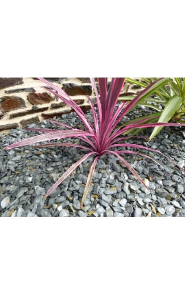 GRAU Schiefer Mulchkaliber 30-60 mm