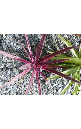 Paillage d'Ardoises GRIS calibre 30-60 mm