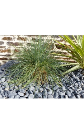 Matt Black Pebble Pak van 5 M² kaliber 12-24 mm