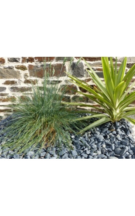 Matt Black Pebble Pak van 5 M² kaliber 12-24 mm