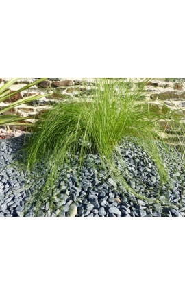 Mat zwart kiezelsteen kaliber 6-12 mm