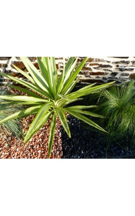 Galet Noir Mat Pack de 5 M² calibre 6-12 mm