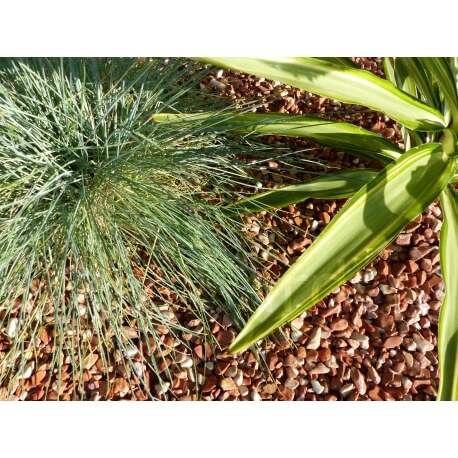 Galet Rouge calibre 6-12 mm