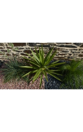 Red Pebble Kaliber 6-12 mm