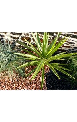 Red Pebble Packung mit 5 M² Kaliber 6-12 mm