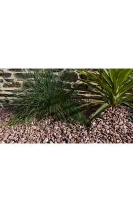 Red Pebble Pak van 5 M² kaliber 6-12 mm