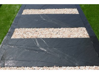 Pas_Japonais