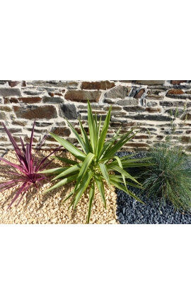 Gelber Kies 10-15 mm