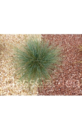 Gravier Rose Pack de 5 M²  6-12 mm