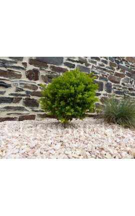 Gravier Rose Pack de 7 M²  6-12 mm