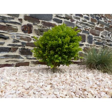 Gravier Rose Pack de 10 M²  6-12 mm