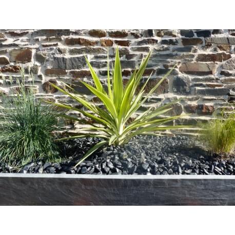 Glanzende zwarte kiezelsteen. Verpakking van 5 M² kaliber 12-24 mm