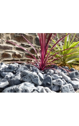 Galet Zebre calibre 40-60 mm