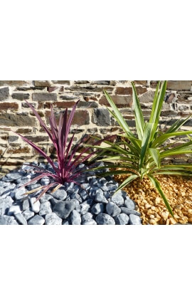 Galet Zebre calibre 40-60 mm