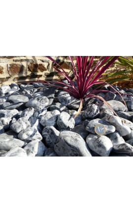 Galet Zebre calibre 40-60 mm