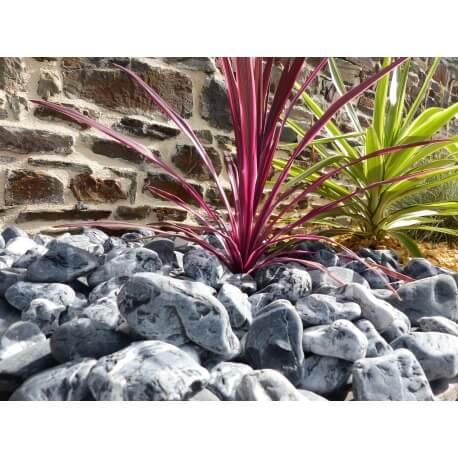 Galet Zebre calibre 40-60 mm