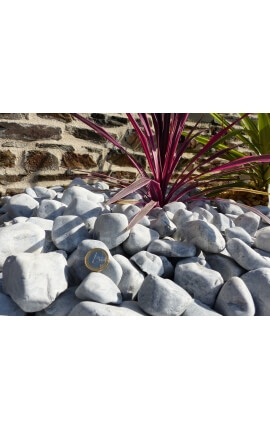 Grijze kiezelsteen 40-60 mm kaliber