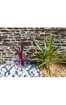 Galet Gris calibre 40-60 mm