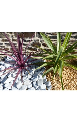 Grijze kiezelsteen 40-60 mm kaliber