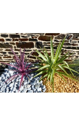 Graues Kieselkaliber 40-60 mm