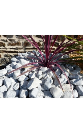 Galet Gris calibre 40-60 mm