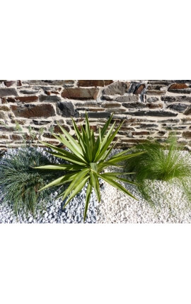 Lichtgrijze kiezelsteen kaliber 12-24 mm